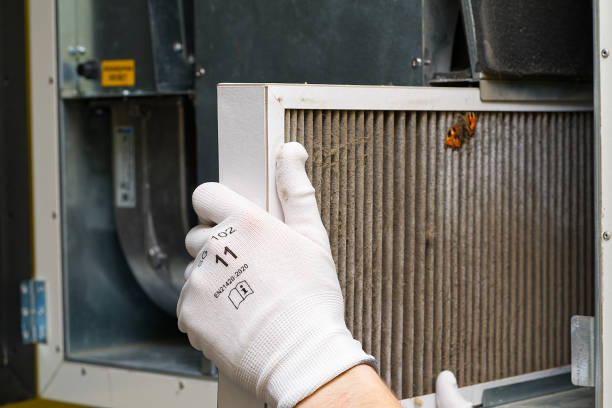 Best HVAC Maintenance and Cleaning  in Lochearn, MD
