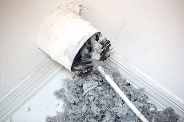 Best Dryer Vent Cleaning Services  in Lochearn, MD